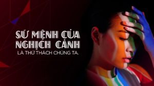 Read more about the article [Review Sách]: Vàng Anh & Phượng Hoàng